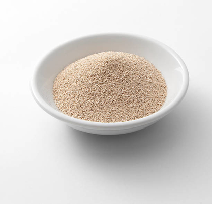 Glycerol Monostearate một thành phần trong sản xuất nấm men khô cho các sản phẩm bánh