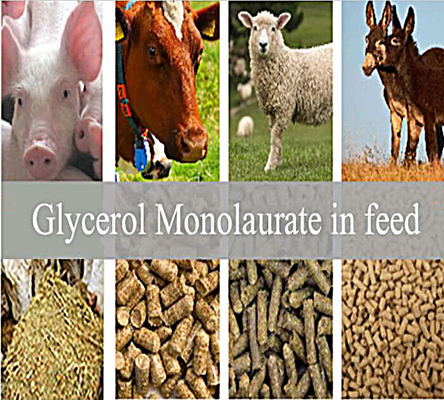Phụ gia thức ăn chăn nuôi: Glycerol Monolaurate GML80 Powder for Animal