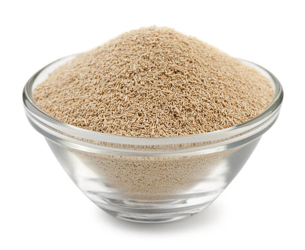 Glycerol Monostearate một thành phần trong sản xuất nấm men khô cho các sản phẩm bánh
